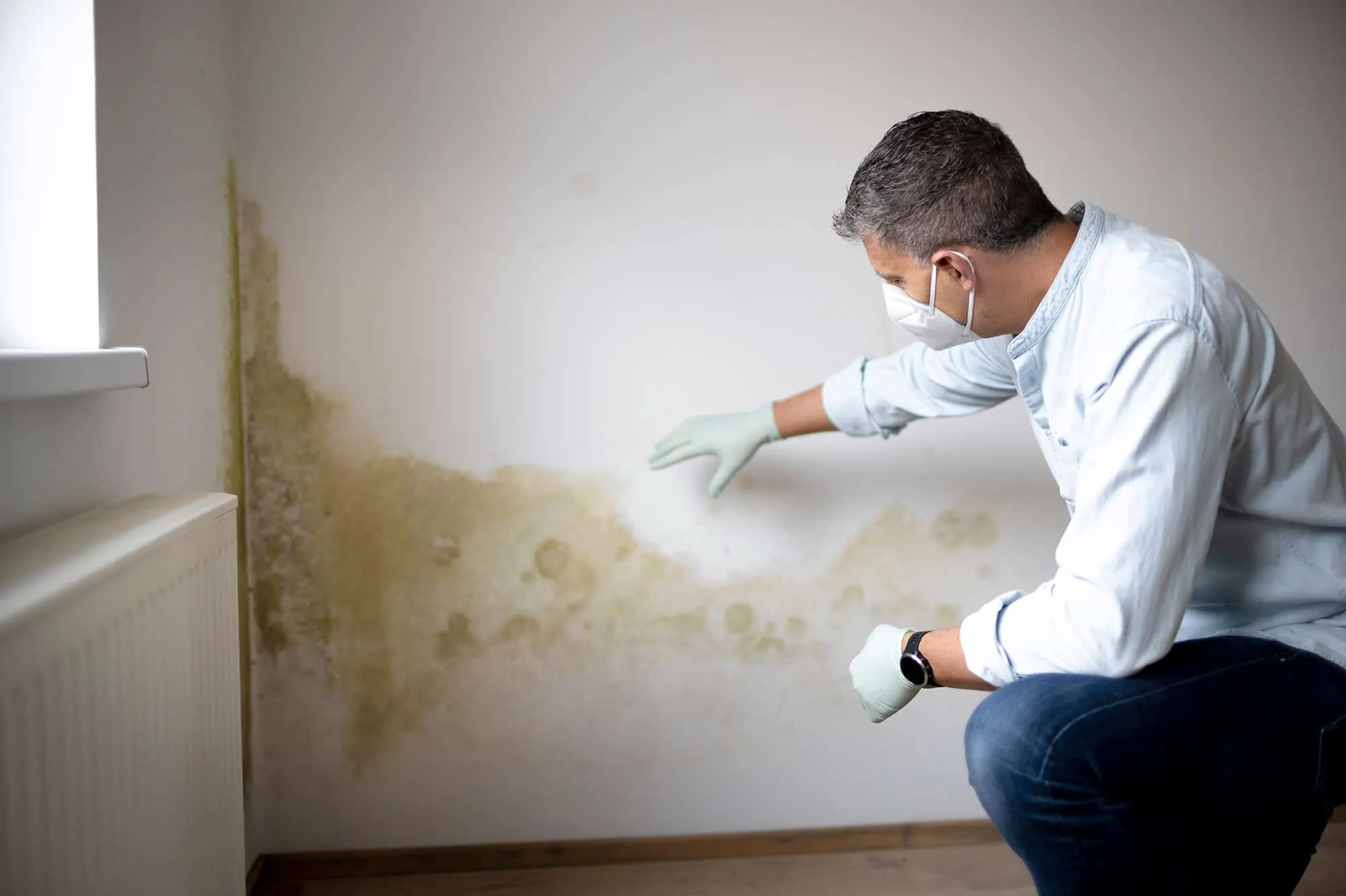 Mold Problems After Testing