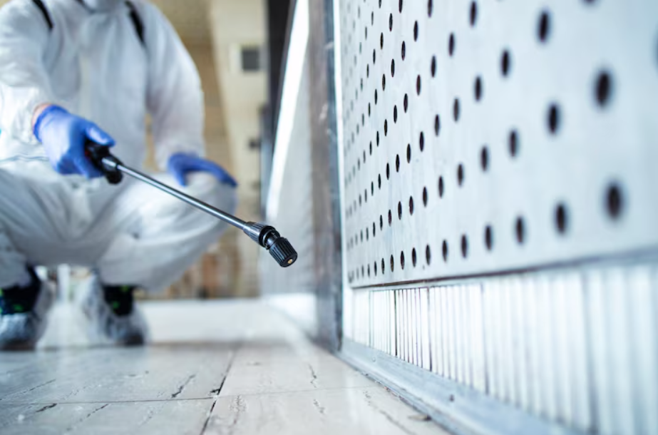 Mold Inspections